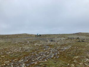 Excavating the Submission History of a Story